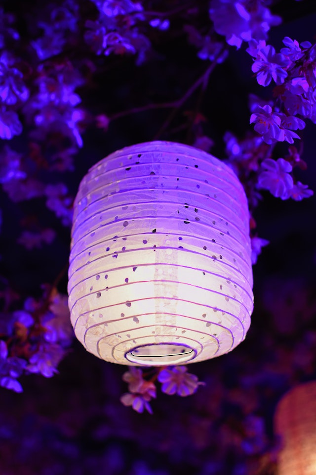 fialový lampion
